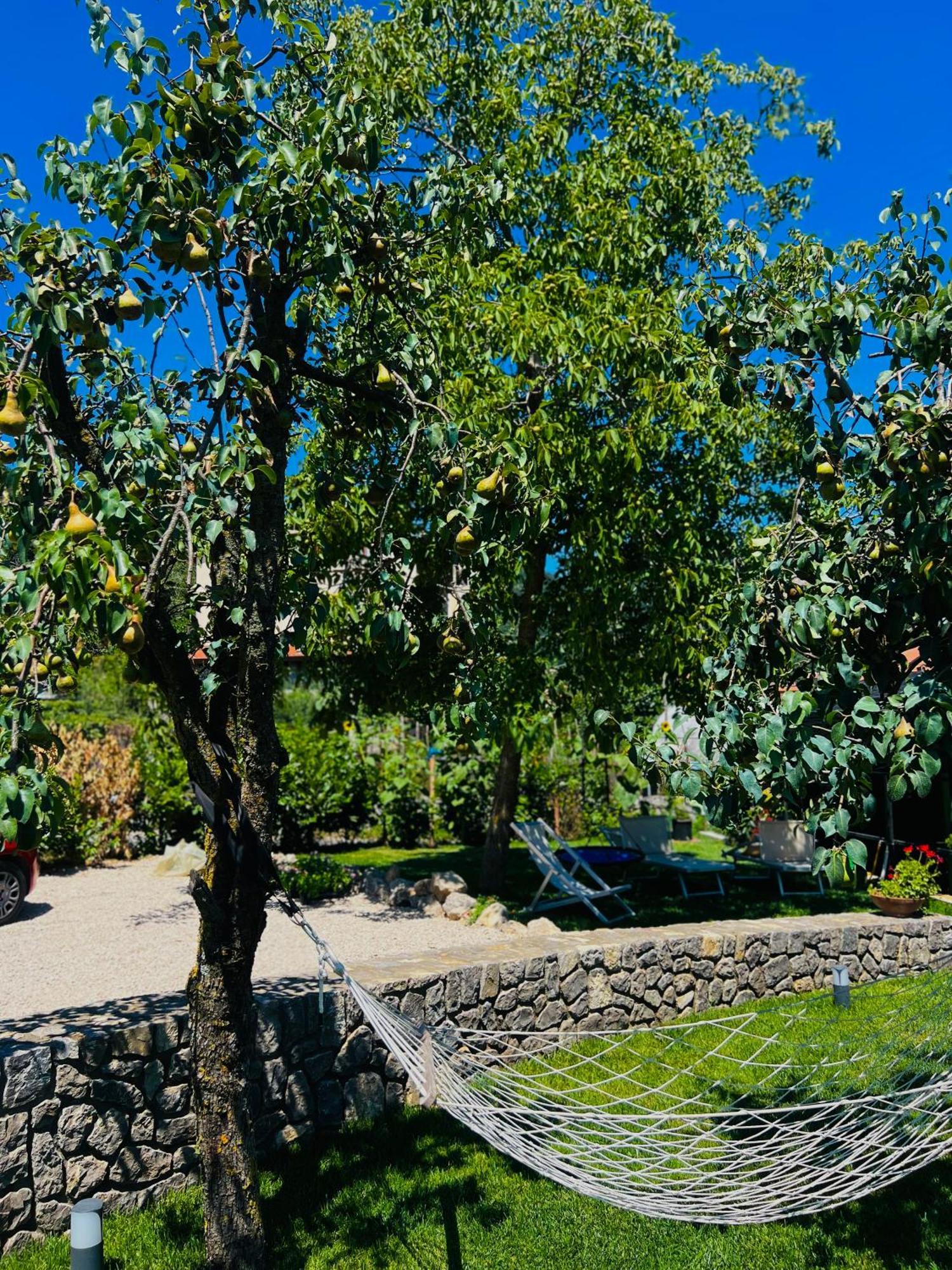 Villa Dolce Risveglio à Agerola Extérieur photo